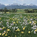 Hébergement de vacances Gaestehaus Schoeberl