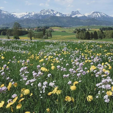 Casa vacanze Gaestehaus Schoeberl