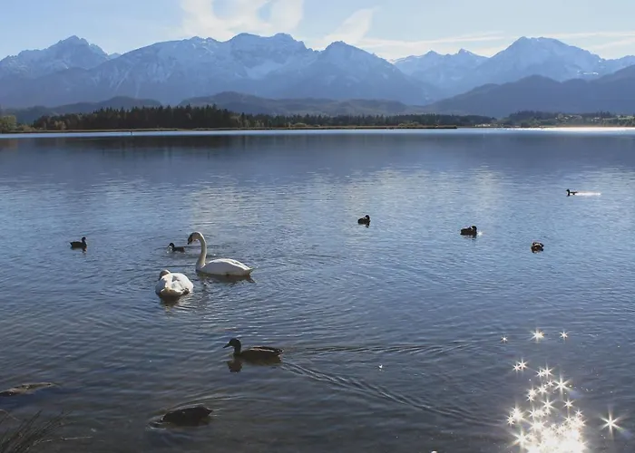 Gaestehaus Schoeberl