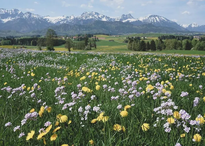 度假居 Gaestehaus Schoeberl